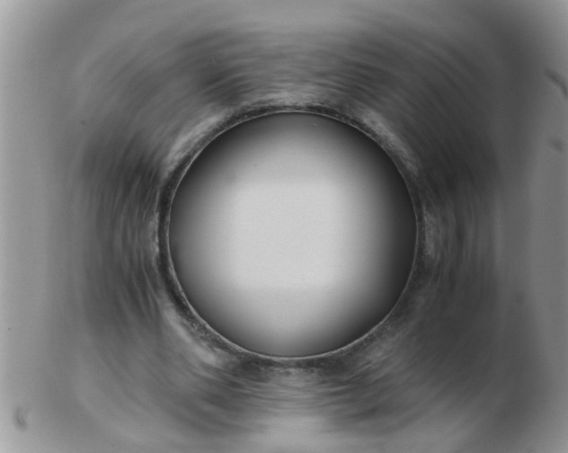 X0000103310486200809122055