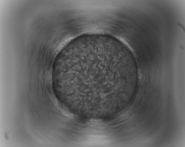 X0000103310487200809122055