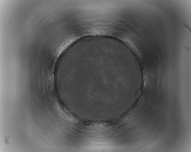 X0000103310488200809122055