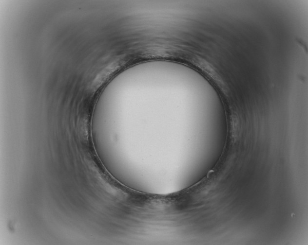 X0000103310489200809122055