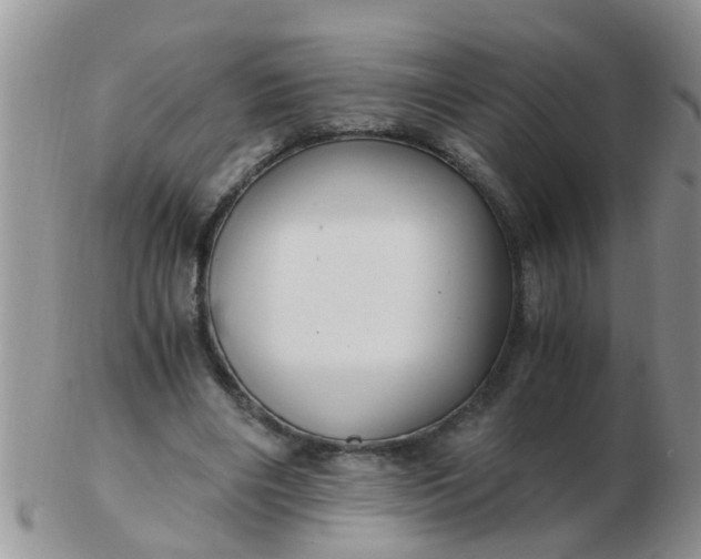X0000103310490200809122055