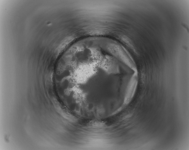 X0000103310491200809122055