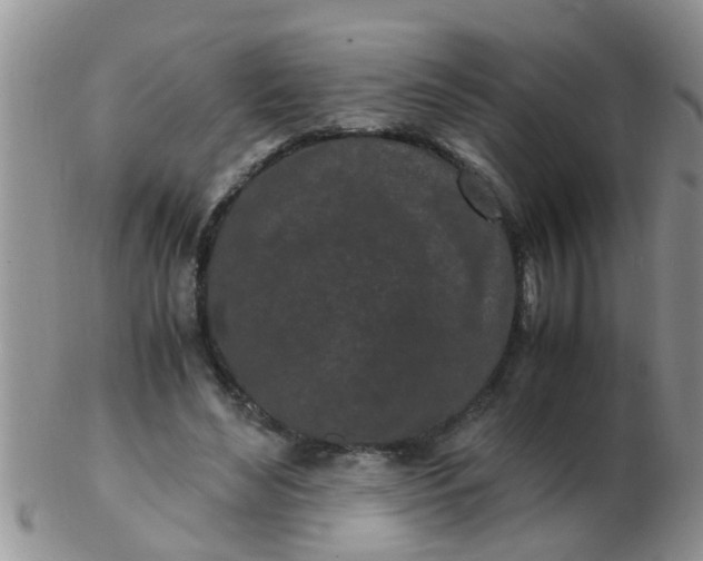 X0000103310492200809122055