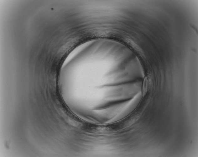 X0000103310493200809122055