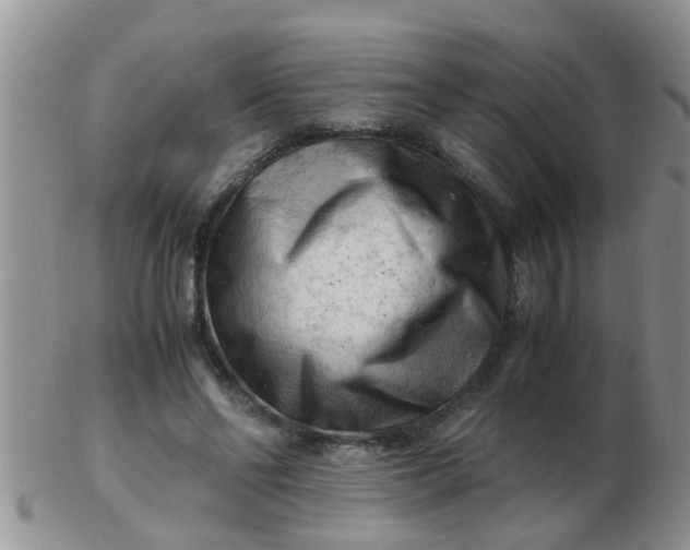 X0000103310494200809122055
