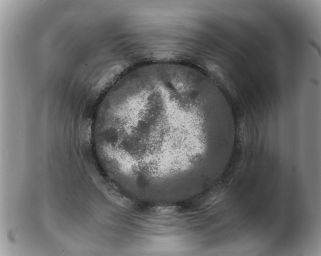 X0000103310495200809122055