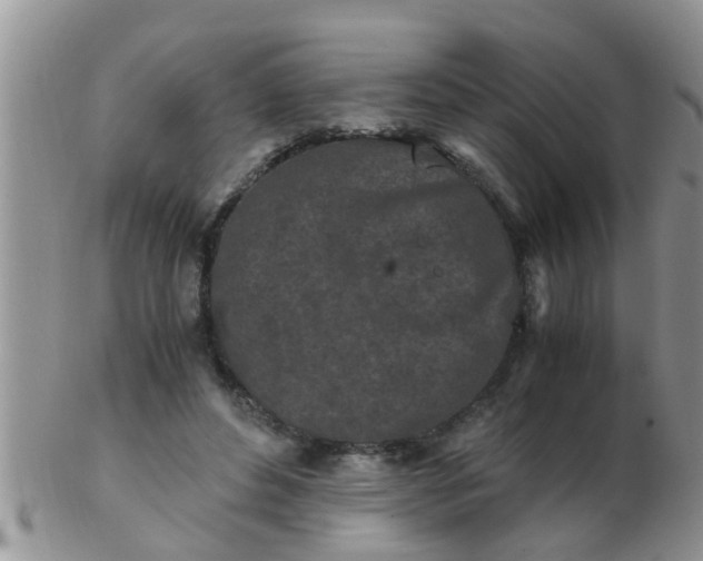 X0000103310496200809122055