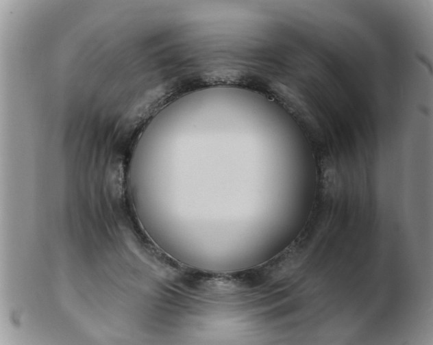 X0000103310498200809122055