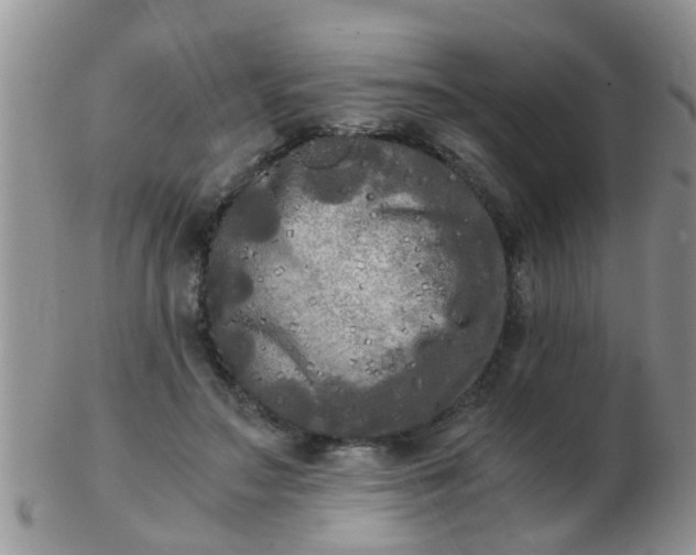 X0000103310499200809122055