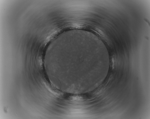 X0000103310500200809122055