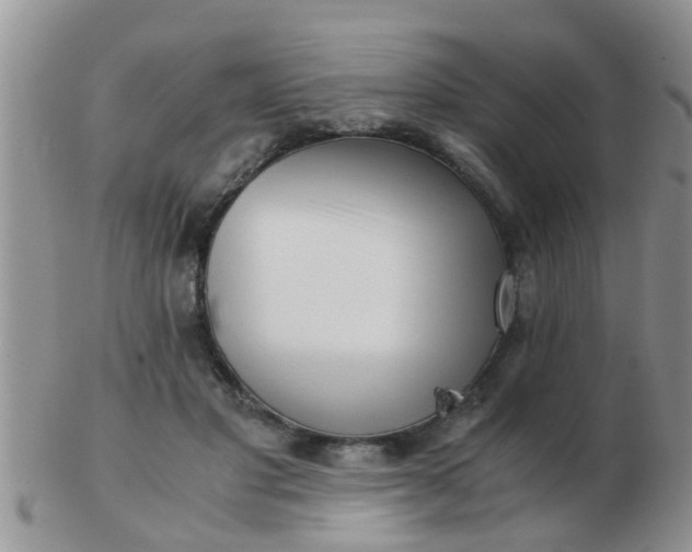 X0000103310501200809122054