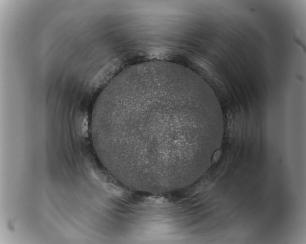 X0000103310502200809122054
