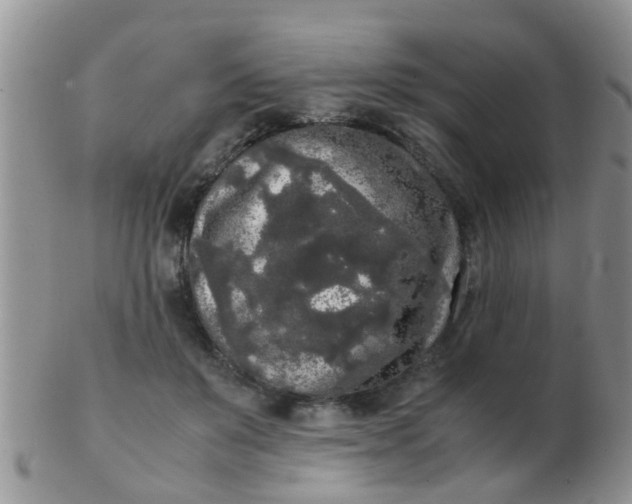 X0000103310503200809122054