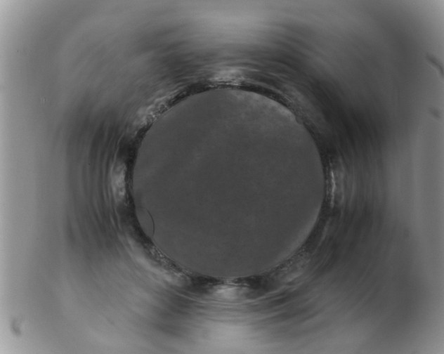 X0000103310504200809122054