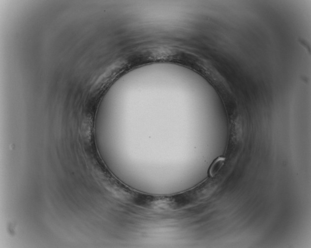 X0000103310505200809122054