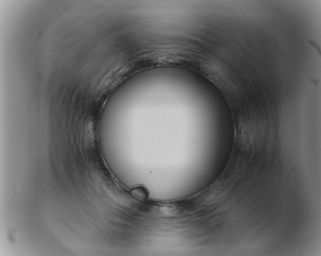X0000103310506200809122054