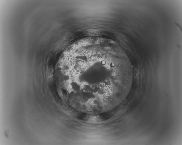 X0000103310507200809122054