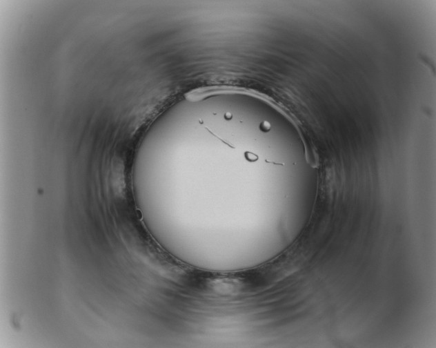 X0000103310508200809122054