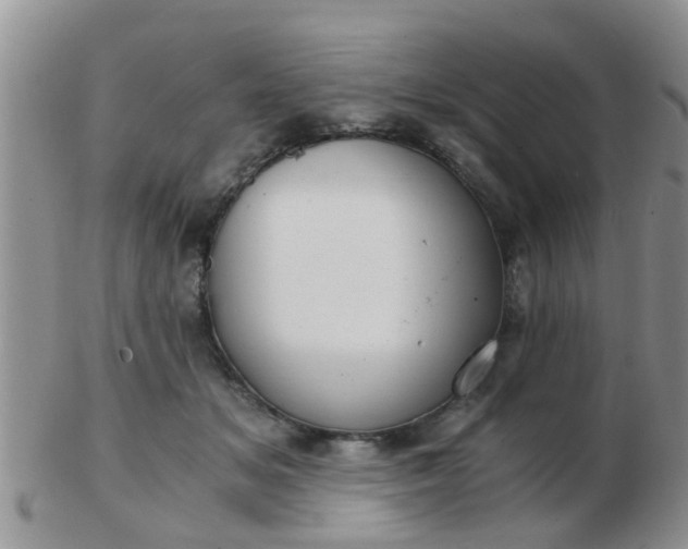 X0000103310509200809122054