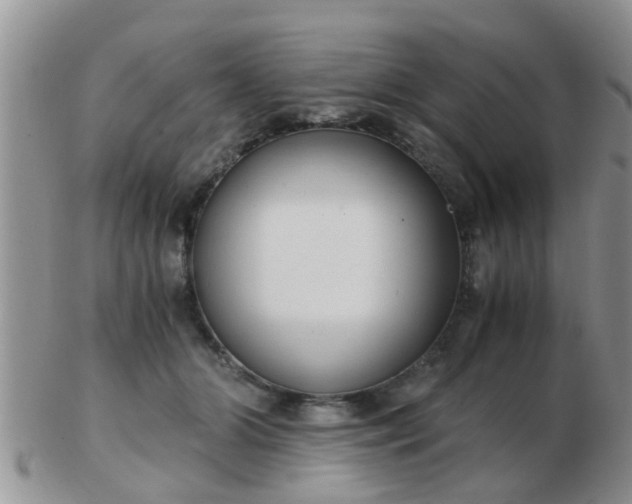 X0000103310510200809122054