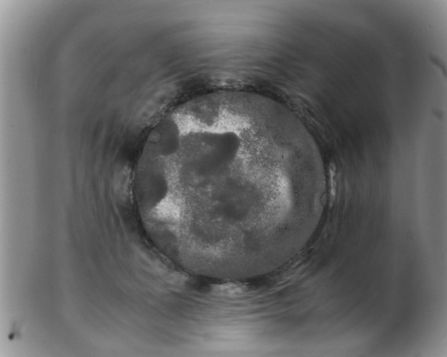 X0000103310511200809122054