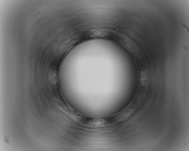 X0000103310514200809122054