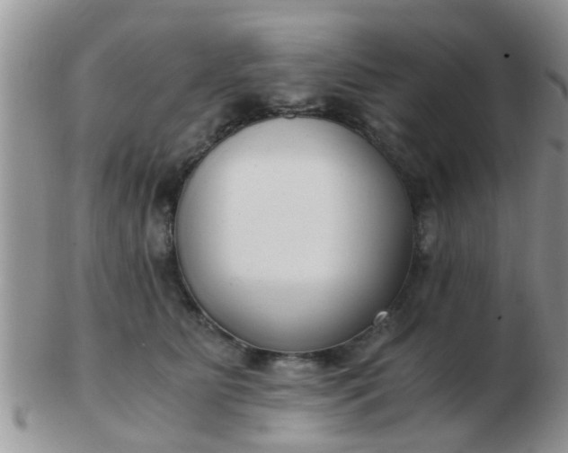 X0000103310515200809122054
