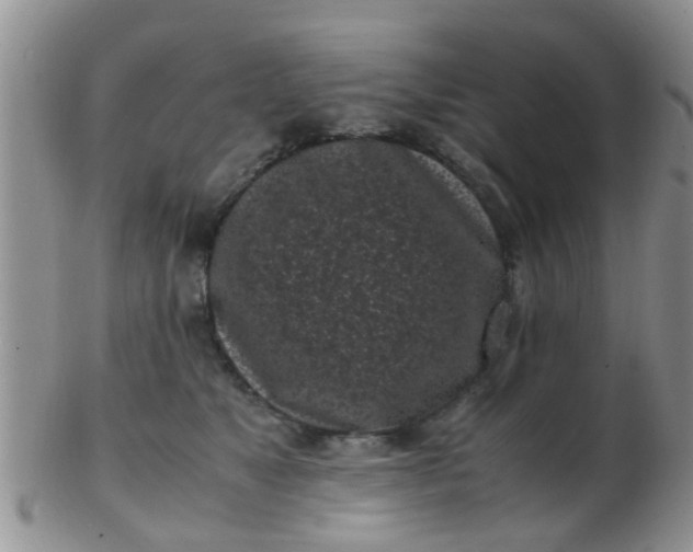 X0000103310517200809122054