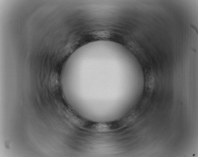 X0000103310518200809122054