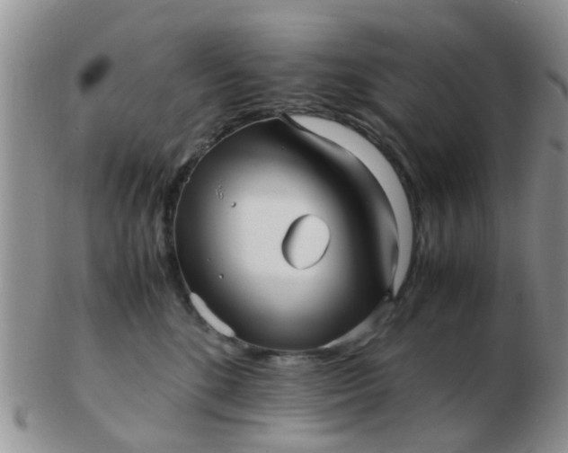 X0000103310520200809122054