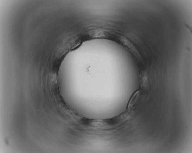 X0000103310521200809122054