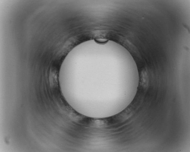 X0000103310522200809122054