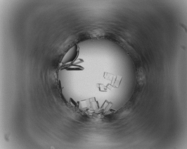 X0000103310523200809122054