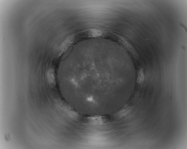 X0000103310524200809122054