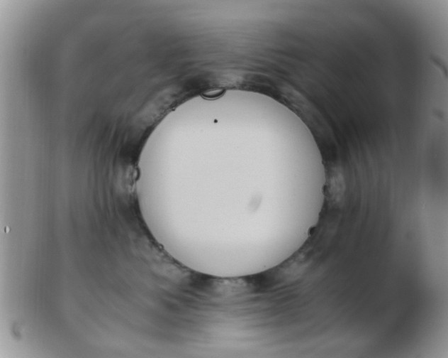 X0000103310525200809122054