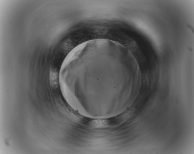 X0000103310526200809122054