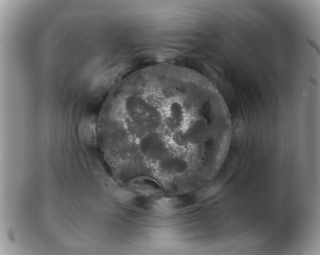 X0000103310527200809122054