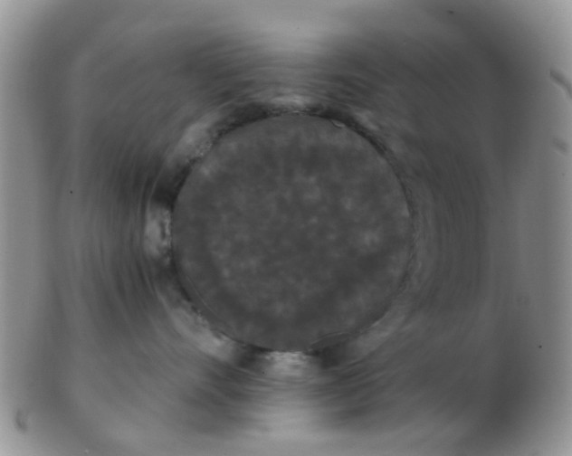 X0000103310528200809122054