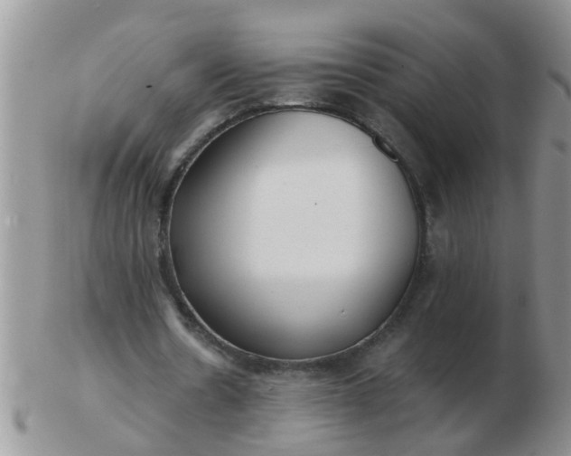 X0000103310530200809122053