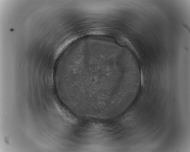 X0000103310531200809122053