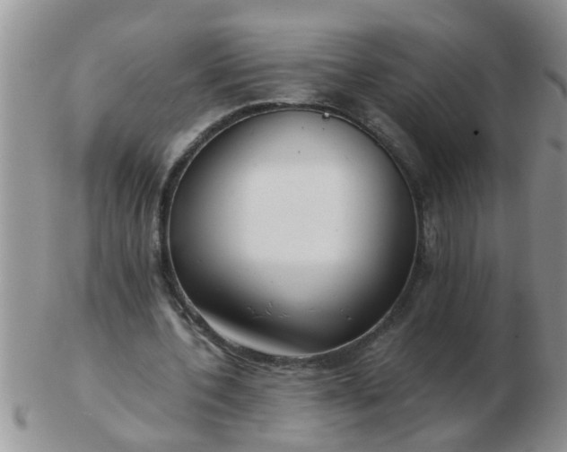 X0000103310532200809122054