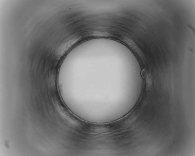X0000103310533200809122054