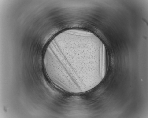 X0000103310534200809122054