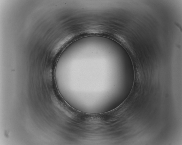X0000103310535200809122054