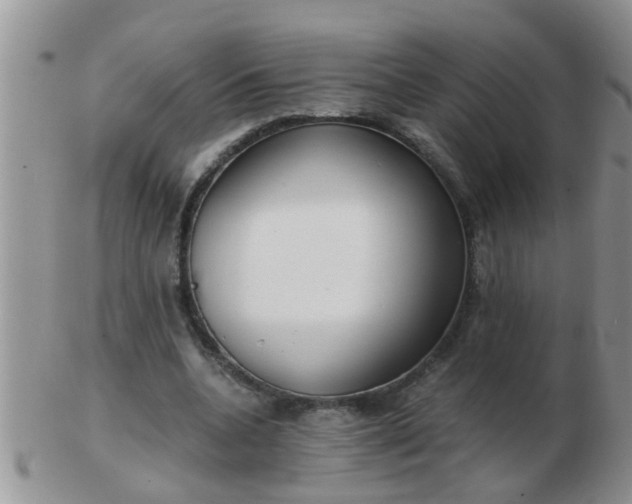 X0000103310536200809122054