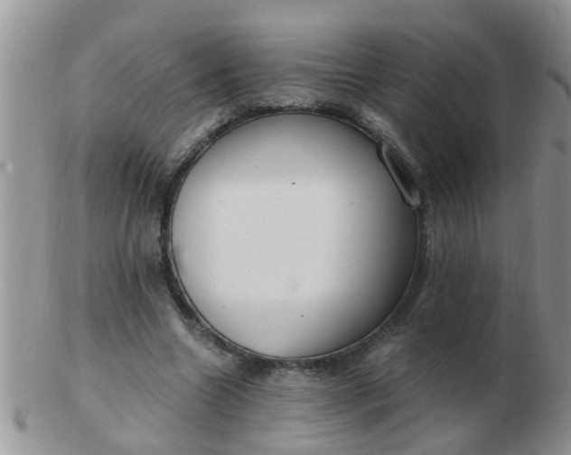 X0000103310538200809122054