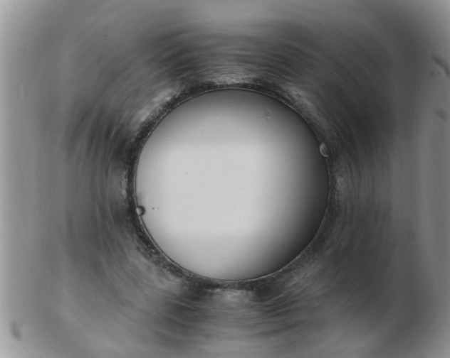 X0000103310539200809122054