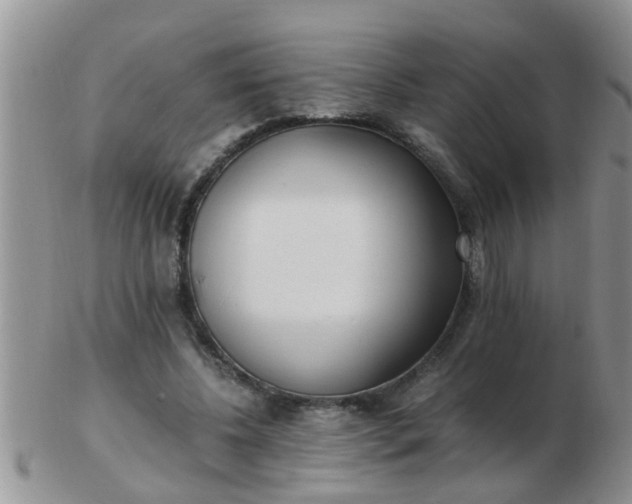 X0000103310540200809122054