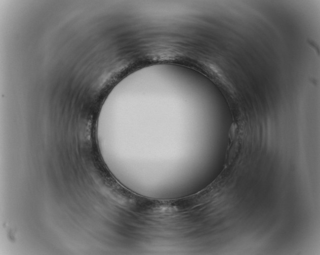 X0000103310543200809122054