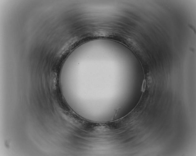 X0000103310544200809122054